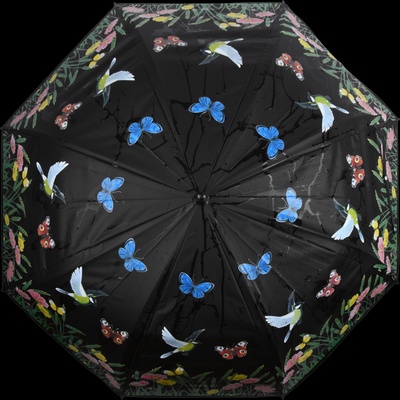 Paraguas Magico Pajaros que Cambian de Color